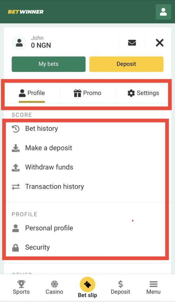 Betwinner website profile menu